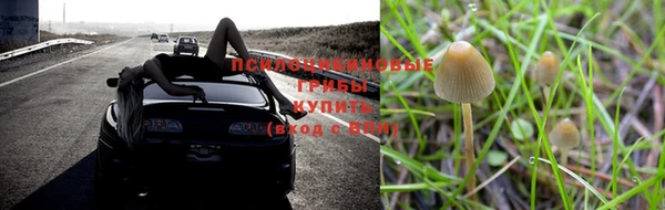 прущая мука Кинешма