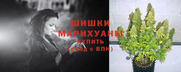 шишки Киреевск