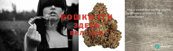 шишки Киреевск