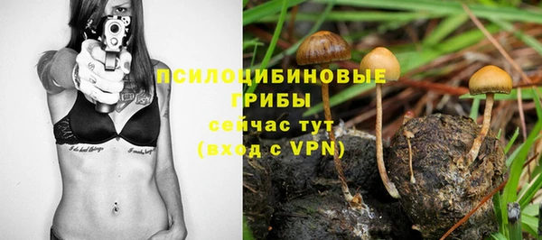прущая мука Кинешма