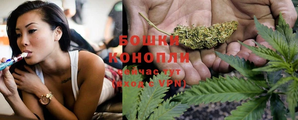 шишки Киреевск