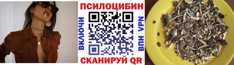 Галлюциногенные грибы мицелий  Купить где  Мурино 