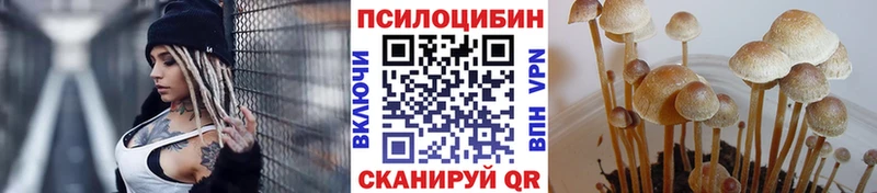 Псилоцибиновые грибы Psilocybe Мурино